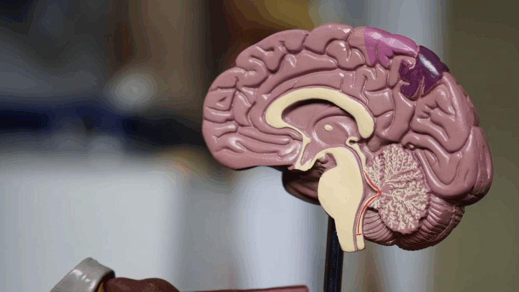 Alzheimer’s disease linked to diabetes 